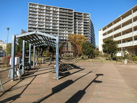 裏路地