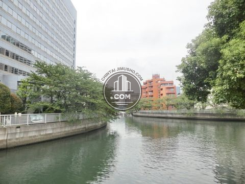 大通り