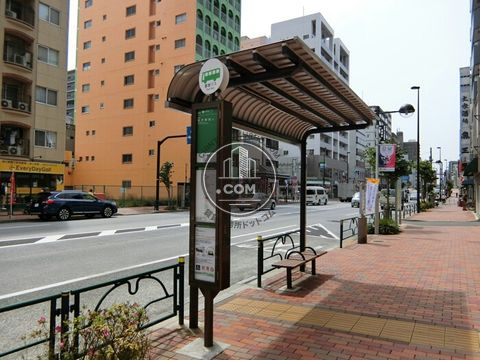 大通り