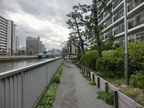 裏路地