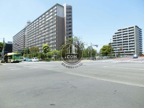 大通り