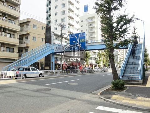 大通り
