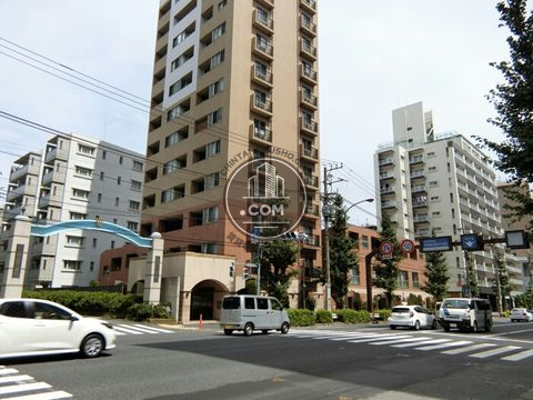 大通り