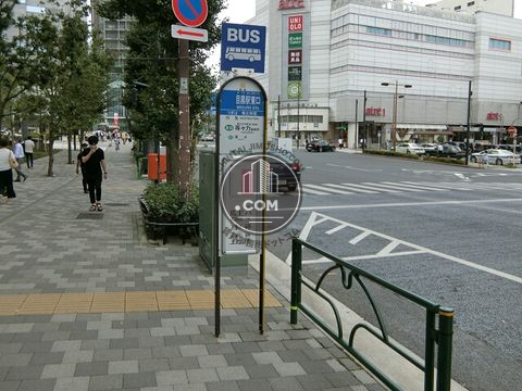 大通り