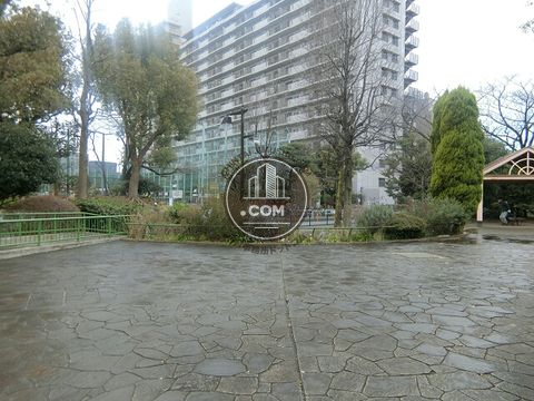 裏路地