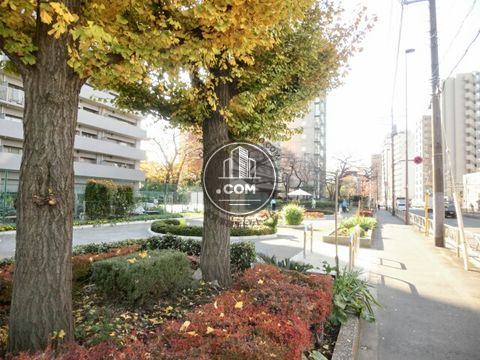 大通り