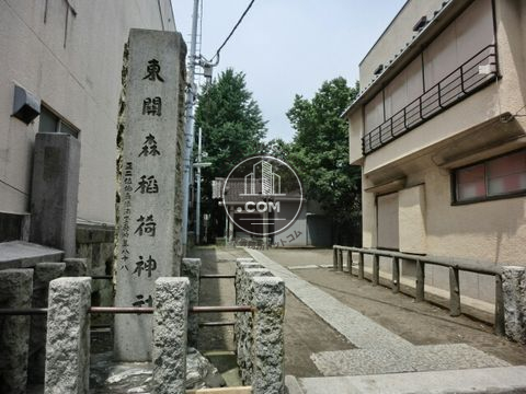 大通り