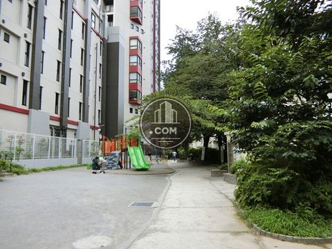 裏路地