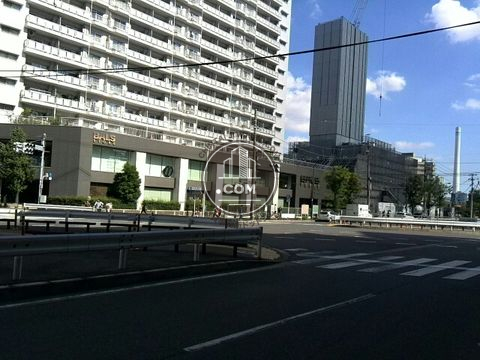 大通り