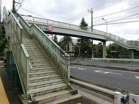大通り