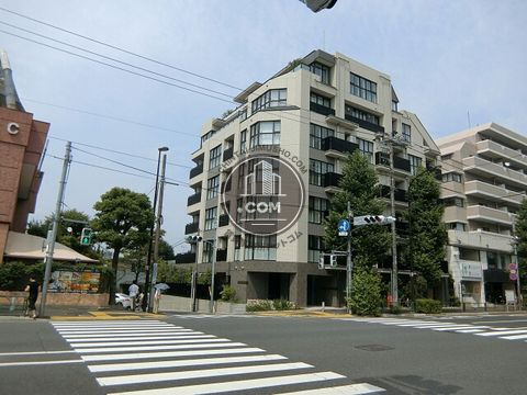 大通り