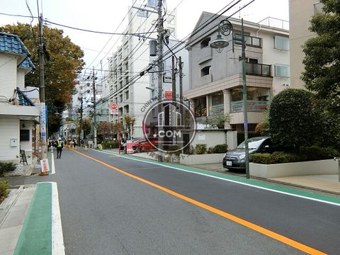 大通り