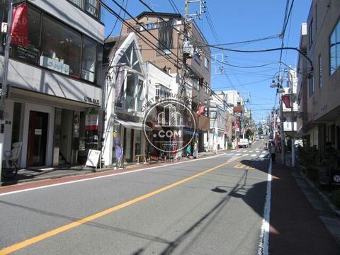 大通り