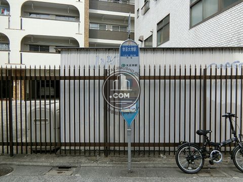 大通り