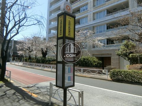 大通り