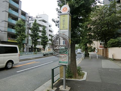 大通り