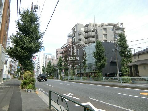大通り