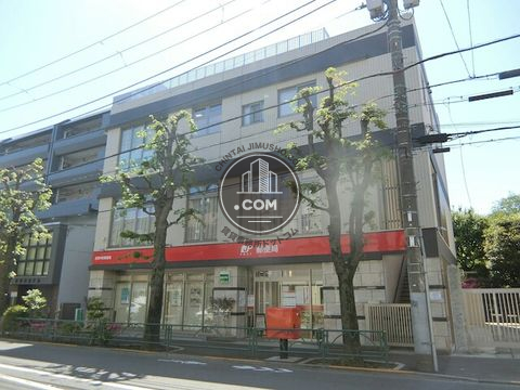 大通り