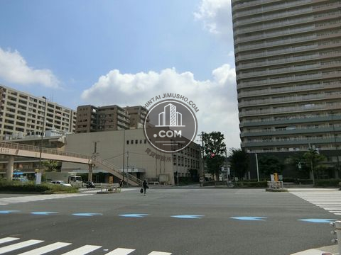 大通り