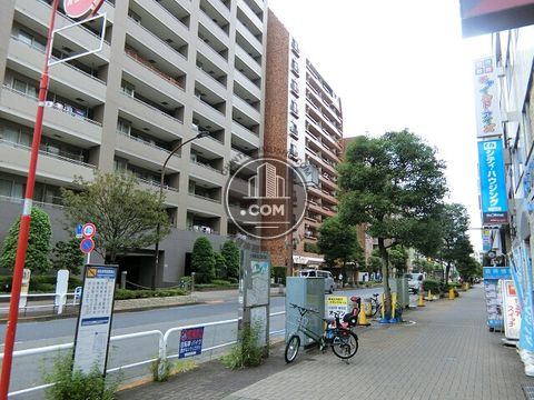 裏路地