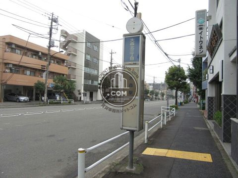 大通り