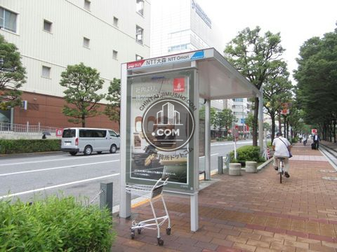 大通り