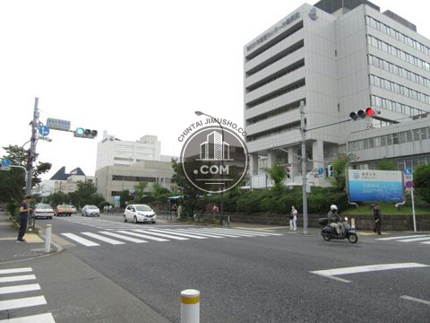 大通り