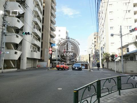 大通り