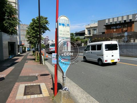 大通り
