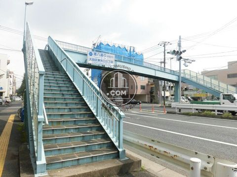 大通り