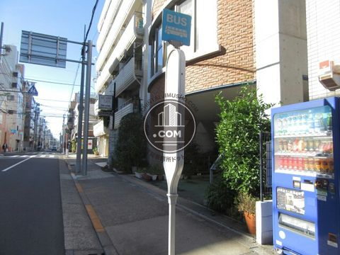 大通り