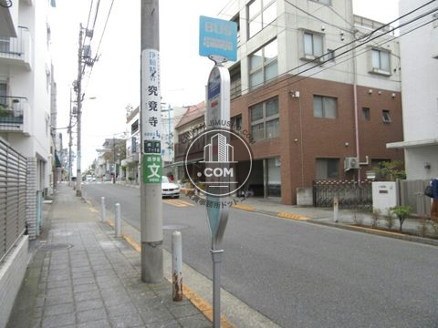 大通り