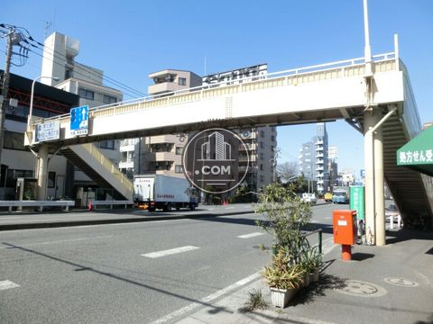 大通り