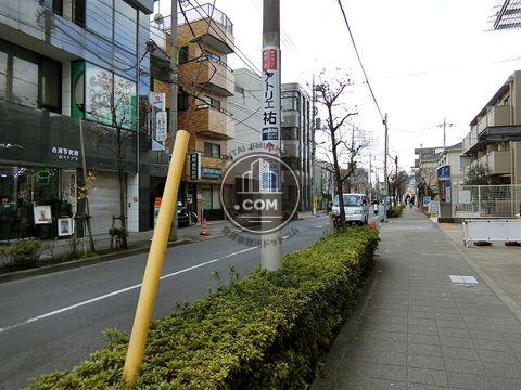 大通り