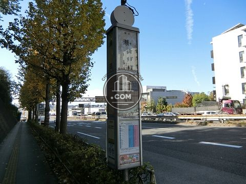 大通り