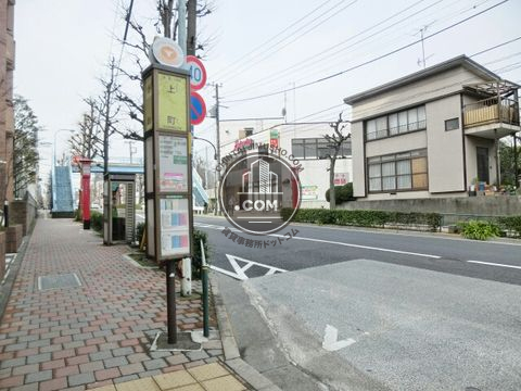 大通り