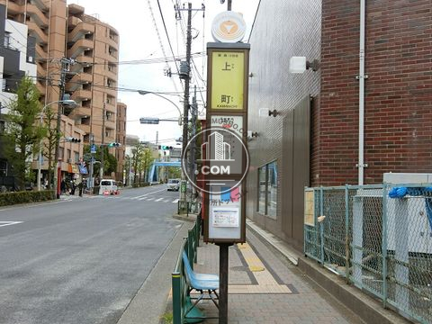 大通り