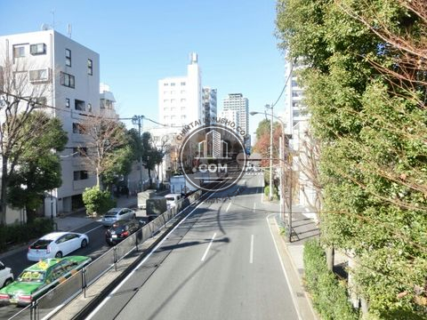 大通り