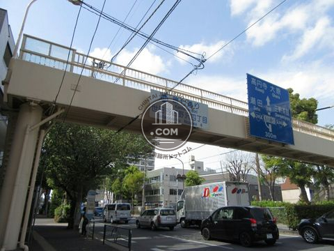 大通り