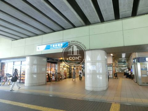 駅周辺