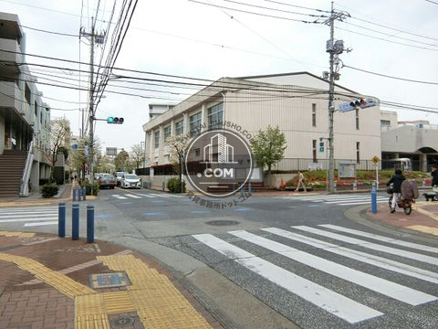 大通り