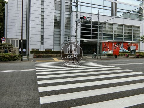 大通り