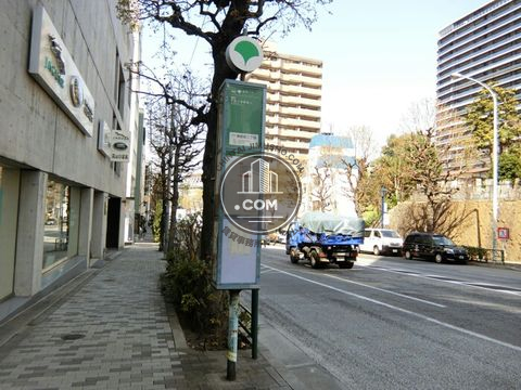 大通り