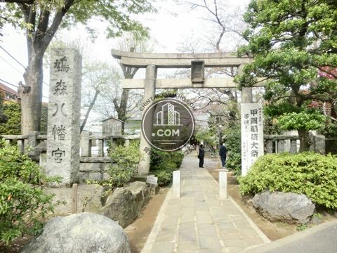 裏路地