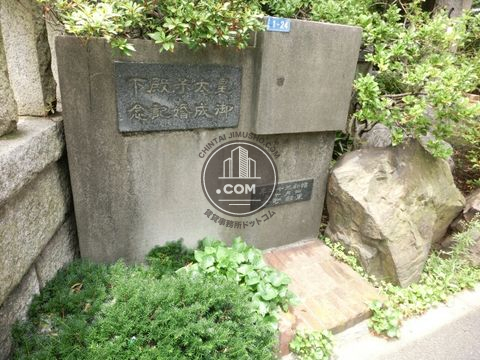 大通り