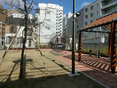 裏路地