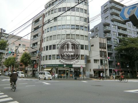 大通り