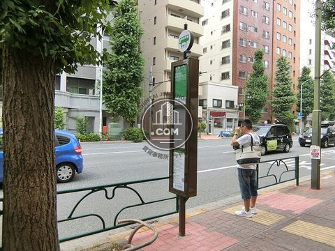 大通り