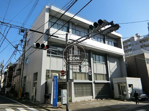 大通り