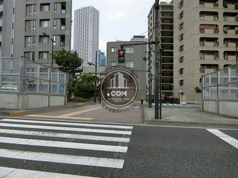 大通り